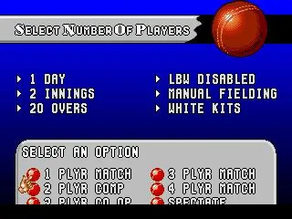 Graham Gooch World Class Cricket (AMIGA)