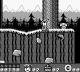 Yogi Bear's Gold Rush