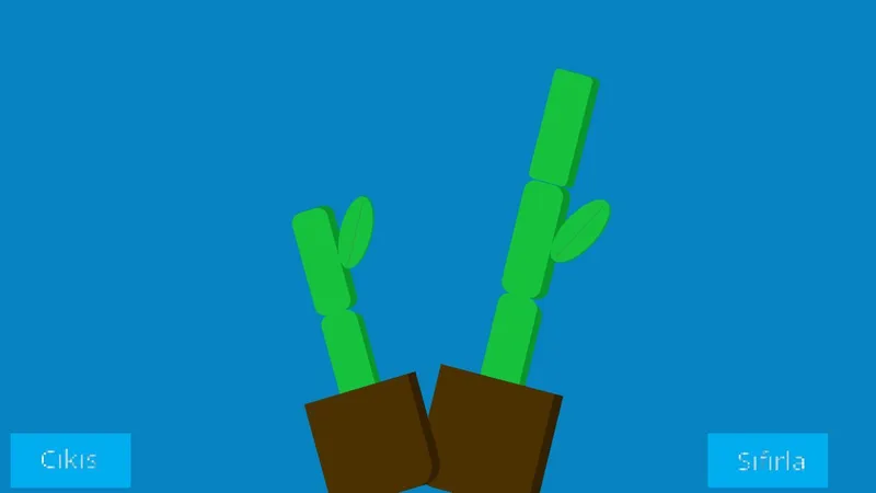 Bamboo (EgeOZTETIK)