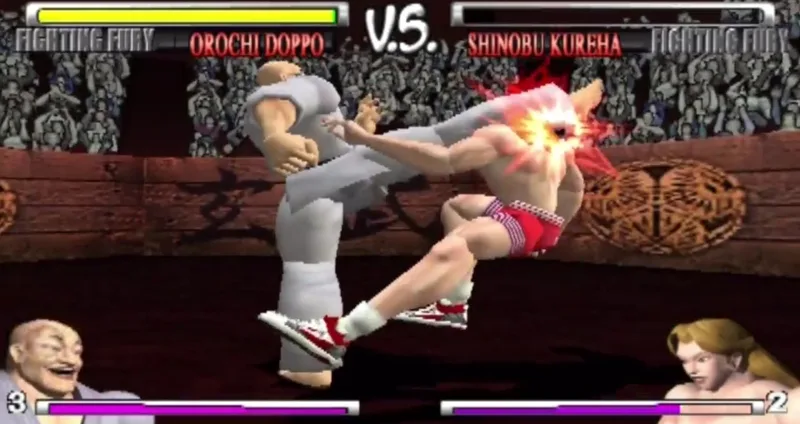 Fighting Fury (PS2)