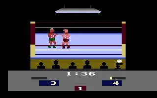 RealSports Boxing