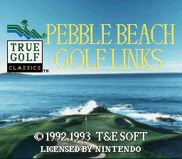 True Golf Classics: Pebble Beach Golf Links (SNES)