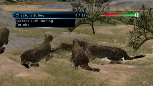 Wild Earth: African Safari (WII)